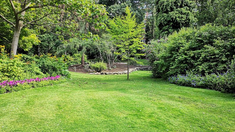landscaped yard